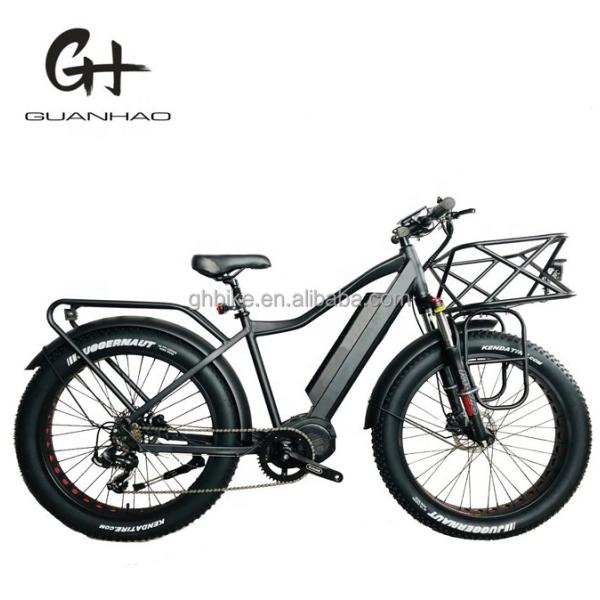 48V E Trike 3 Wheel 750 Watt Fat Tire Rickshaw with Bafang 750W Motor and Performance