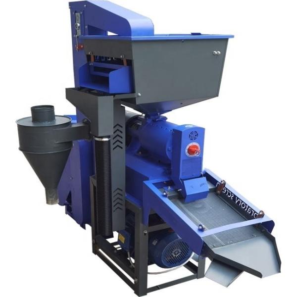 Rice Hulling Machine Processed In One Go Auto Rice Mill Production Line 600kg/H
