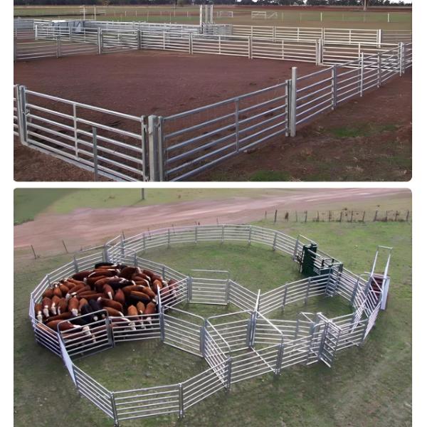 12 Ft Heavy Duty Galvanized Metal Round Pen Cattle Corral Livestock Farm Fence Panels