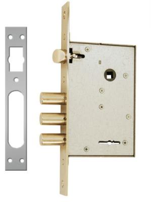 GP Finish Mortise Key Lock pour les applications lourdes