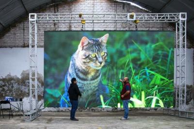 SMD2121 HD Tv Stage Background Led Display Video Wall 1300cd / M2 Brightness