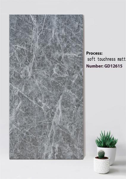 Light Gray Clay Curtain Wall Tile 600x1200mm Soft Touchness Matt