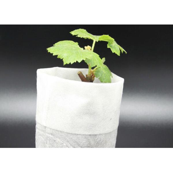 Tear Resistant Spun Bonded Non Woven Weed Control Fabric for Agriculture and Landscape Industry