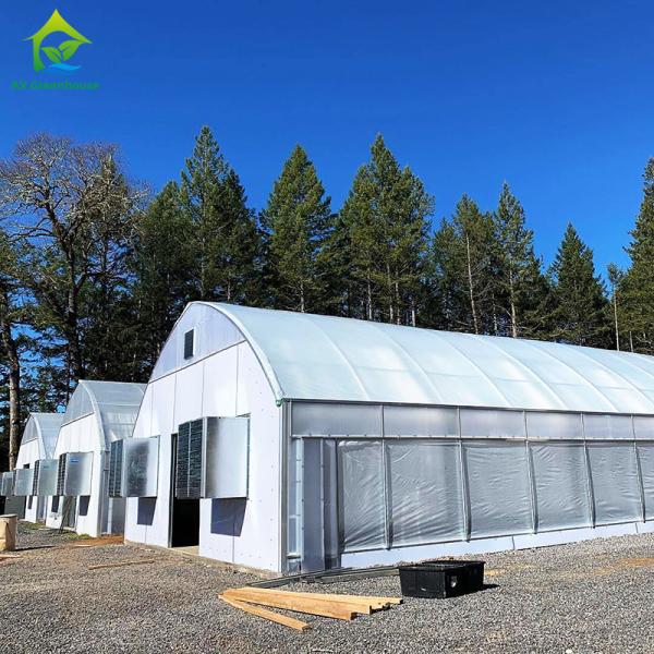 Автоматическое отключение на заказ Полное освещение Лишение сельскохозяйственных грибов Теплица