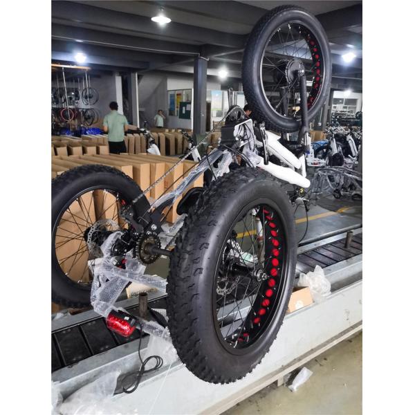 750W Central Motor Fat Tire Electric Rickshaw with Aluminum Carrier and Passenger Seat