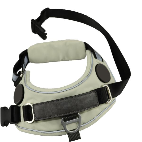 Помощь тяги проводки собаки Xxs Xxs астетическая анти- холя голубую черноту