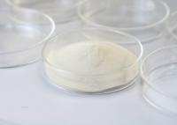 Enzymes de qualité alimentaire de la lactase β-galactosidase Aide digestive utilisée pour la production d'oligogalactose
