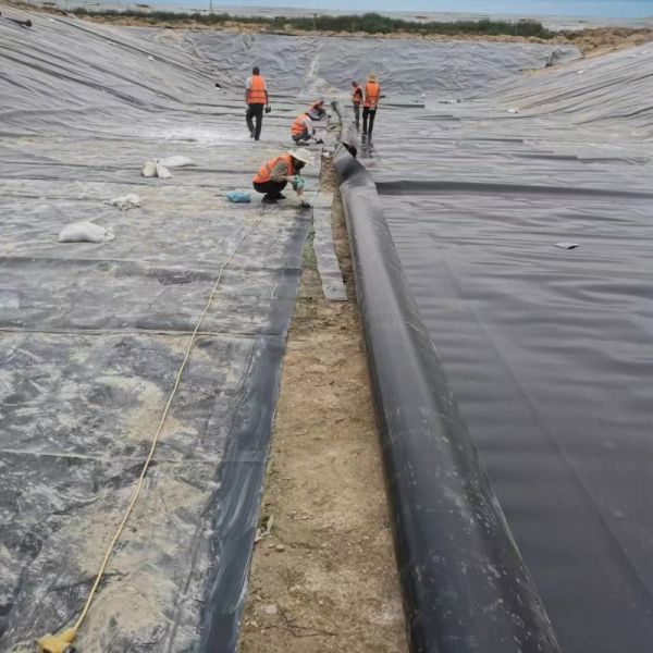 Anti Slip Hdpe Textured Geomembrane Slope Protection  Waterproof Geomembrane Liner