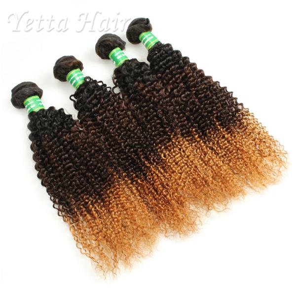 Cheveux brésiliens bouclés frisés trois Tone Dyeable de Vierge de 100g 7A