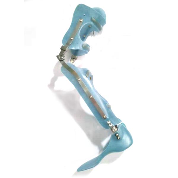 Соединения колена нержавеющей стали взрослого 19mm Orthotic, соединение колена замка падения