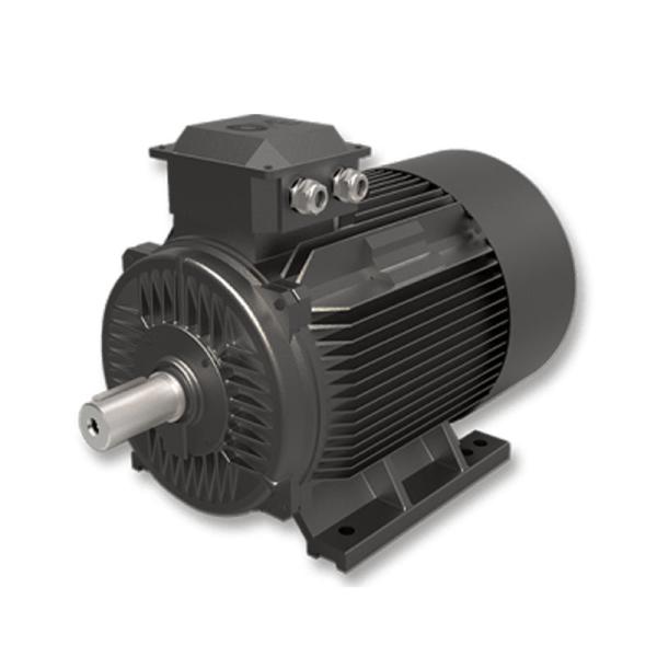 мотор 220v 5.5-3000kw взрывозащищенный SPM, изготовитель мотора IPM