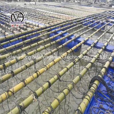 Cultivo de jaula de pontón HDPE para tubería flotante 200 mm/250 mm/315 mm/350 mm/400 mm/450 mm/500 mm