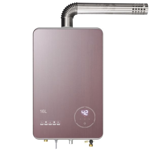 12L / 3.17gal Household Indoor Gas Water Heater For Consistent Water Heating Durable Construction