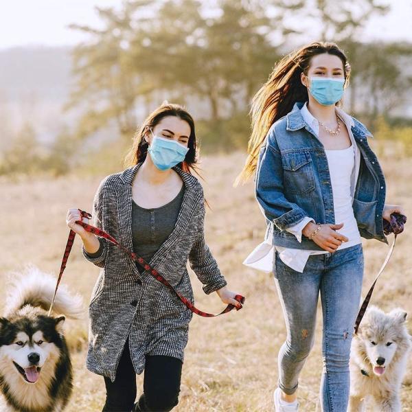 Single Use EN14683 Type II Surgical Earloop Face Mask