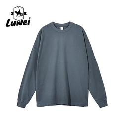 Wholesale Personalized Workout Heavyweight 100%cotton Custom Oversize Premium Street Hoody Basic Hoodie