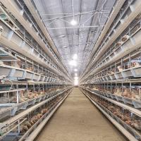 cage de volaille de la batterie 3Rows de 2.5mm pour Hen Farming Livestock Equipment