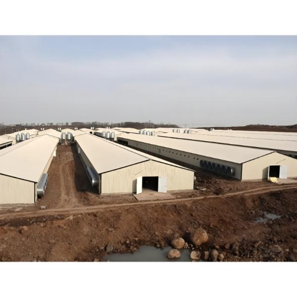 Construction de maisons en acier léger économique