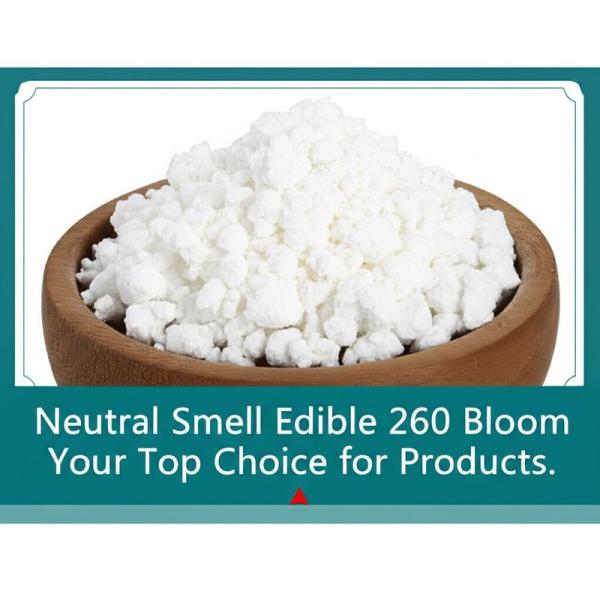 Neutral Smell Edible Gelatin 100 Bloom 260 Bloom Your Top Choice for Products