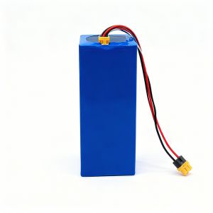 Véhicule électrique Motocyclette batterie au lithium 24v 36v 48v 10ah 20ah 15.6ah 28ah