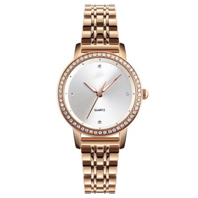 Stainless Steel Case Back Watch Quartz Watch Women Reloj Mujer 1311