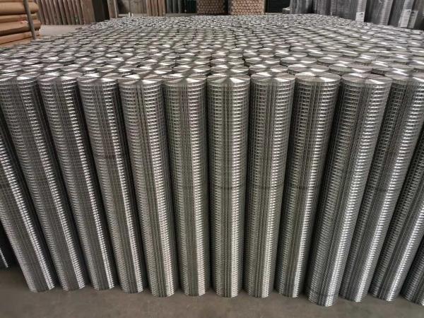 New Type Top Sale 1/2 inch Chicken Wire Fence PVC Coated Welded Mesh Wire bird cages