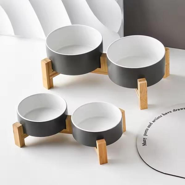 Conjunto de aguas de comida y agua para gatos y perros pequeños