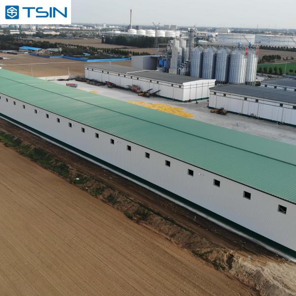 Prefabricated Steel Structure Warehouse For Agriculture Fast Construction Q235B Q355B