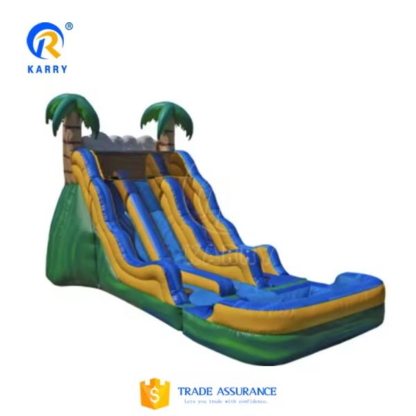 Customized Color Inflatable Water Slide Popular Backyard Commercial Kids Adults Size