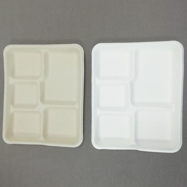 100% Biodegradable Sugarcane Pulp 5 Compartment Tray Natural Bagasse Eco-Friendly Compostable Melamine Dinner Plate
