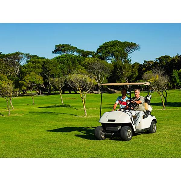 Deep Cycle Agm Golf Cart Batteries Pack 72v 24v 200ah 80AH