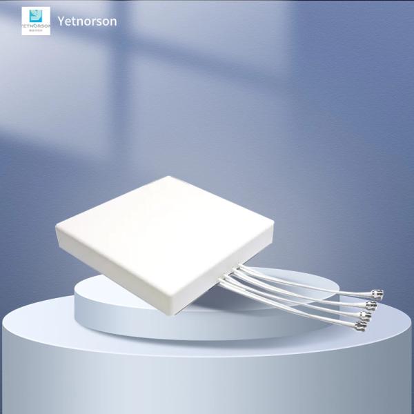 4G 5G Antenna exterior 4x4 Mimo 6-9dBi Antennas direcionais de ganho elevado para V.S.W.R ≤2.5