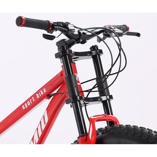 Fat tire vélo Fatbike personnalisable Croisière Neige Pleine suspension Vélo de montagne Vélo de plage Vélos à queue douce 21 vitesses