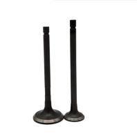 TEM 13711-10020 13712-10010 pièces de rechange de valve d'admission de soupape d'échappement de moteur de Toyota 2E