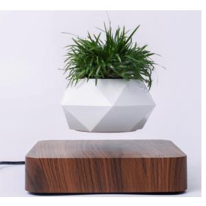 levitation air bonsai