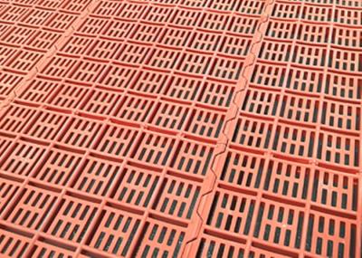 Resistência de corrosão plástica alaranjada das venezianas do assoalho do porco do equipamento de exploração avícola da cor