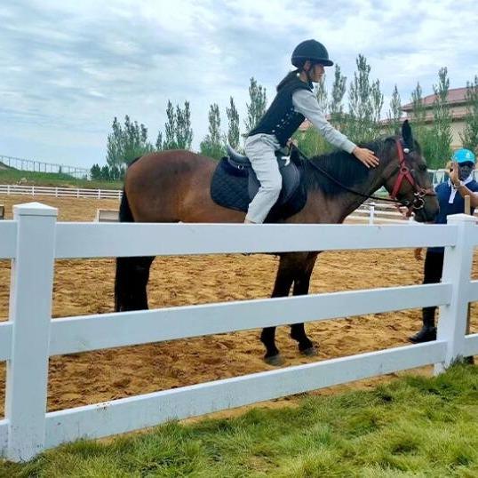 PVC Vinyl Horse Fence 127mm x 127mm Post White Easy Install
