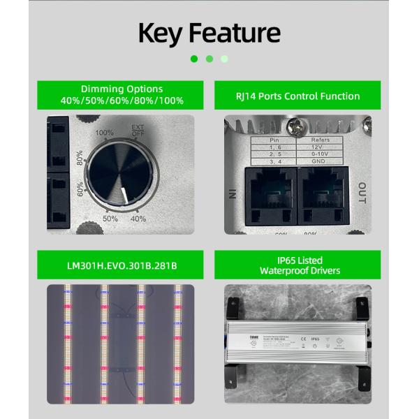 Full Spectrum 4×4ft 6 Bar 720W LED Grow Light High Efficiency SAMSUNG LM281B for Indoor Plant Cultivation