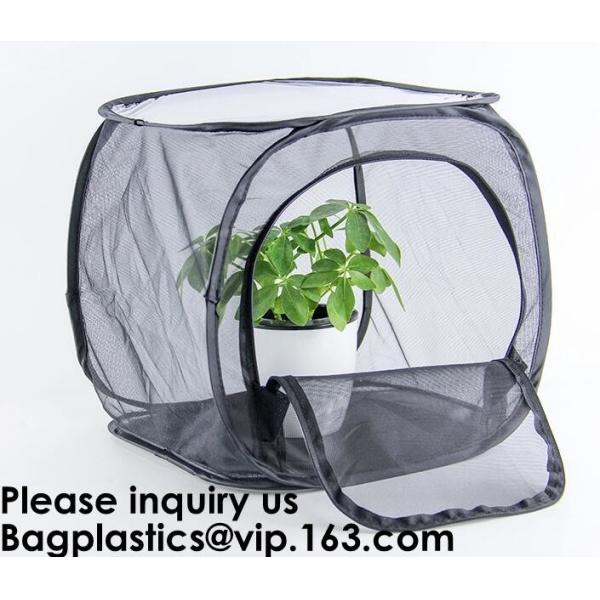 Agricultural Greenhouses for Tomato Planting,Pop-Up Tomato Plant Protector Serves as a Mini Greenhouse to Accelerate Gro