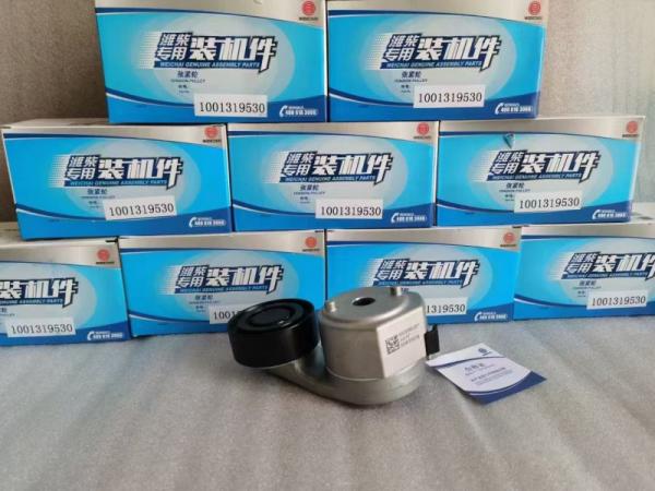 WEICHAI Pressure Reducer 1001482916 suitable for CNG LNG Gas engine NG2-8 truck
