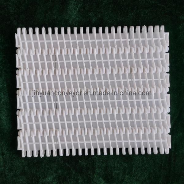                  Plastic Conveyor Belts with 27.2mm Pitch for Cartons Processing Industry             