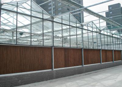 Chauffage et refroidissement réglable, beau et beau VENLO Serres en verre