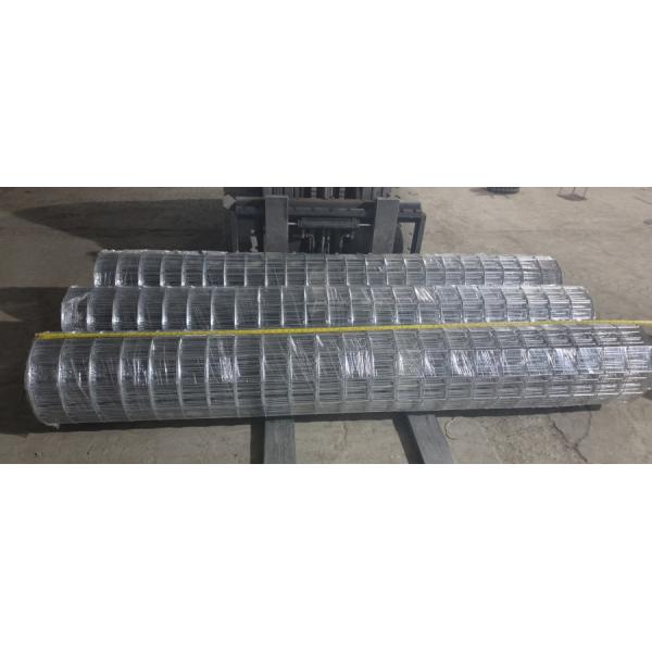 Direct Galvanized or Black 10 Gauge Coal Mine Welded Wire Mesh For Underground Mining