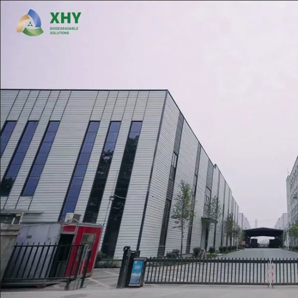 PLA Coated Paper Roll High Bulk Compostable Biodegradable Raw Material