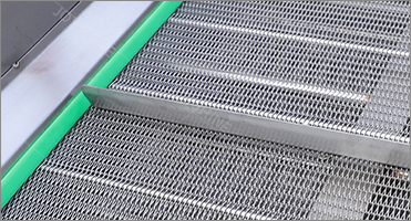 100-500kg/H Ozone Fruit And Vegetable Washer For Cleaning Carrots And Cassava