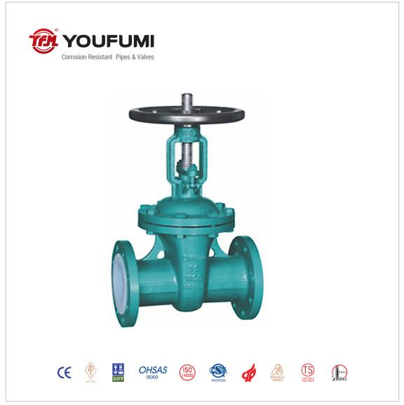 CF8M PTFE Lined Gate Valve