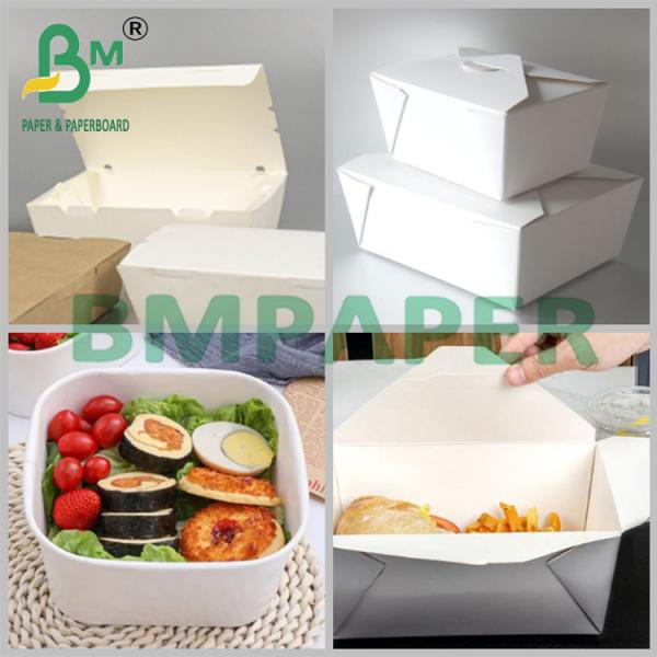 230g 245g Disposable Uncoated Lunch Box Board for Food Packaging