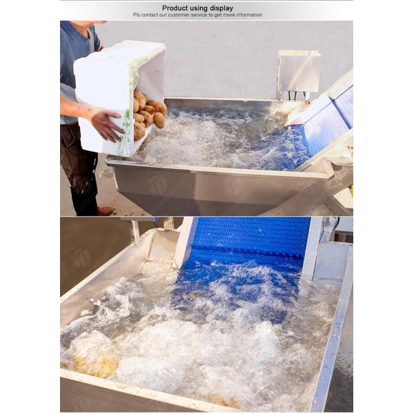 Pre-foaming elevator processing production Destoning Supplying Inspecting Grading Fruit Orange Vegetable Onions horseshoe Ginger Potato Carrot radish Lettuce Baby Cabbage Chinese Cabbage Cabbage