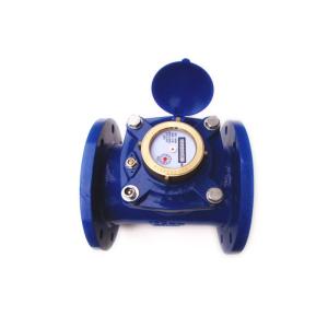 Woltman Water Meter