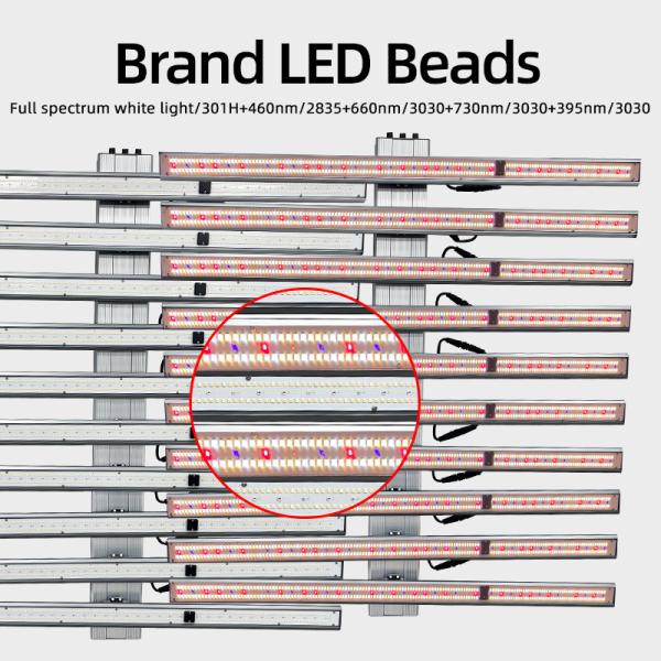 Luz de crescimento LED desmontável dimmable 1000W para jardinagem interior