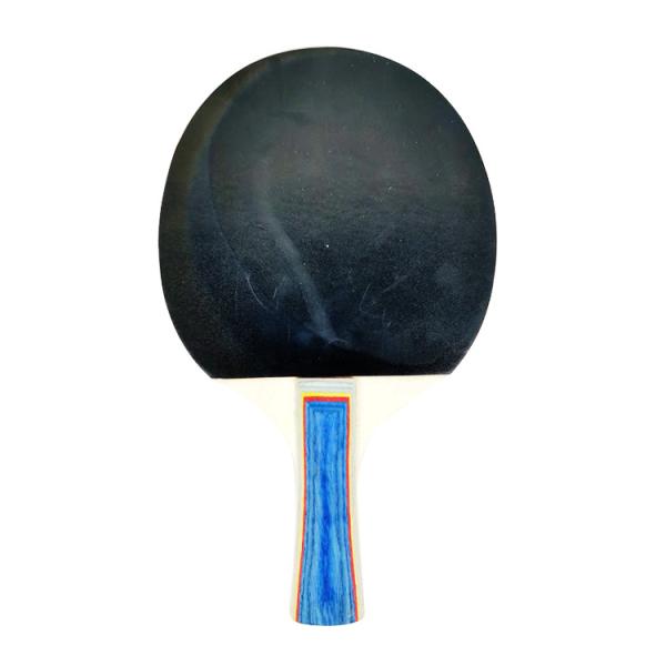 Leisure Professional Ping Pong Racket Custom Portable